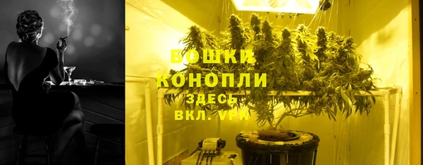 стаф Магас