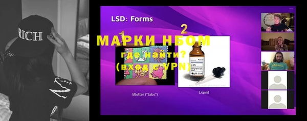 стаф Магас
