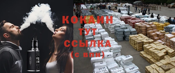стаф Магас