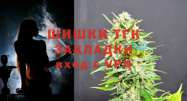 стаф Магас