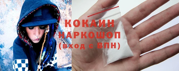 стаф Магас